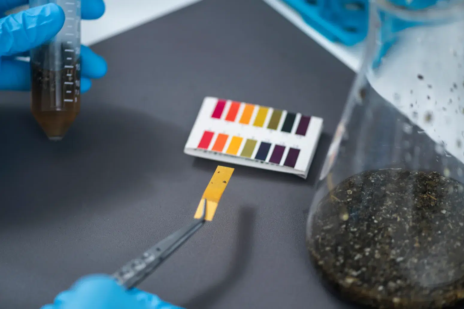 The Impact of Ultrasonic Homogenization on Agrochemical Formulations