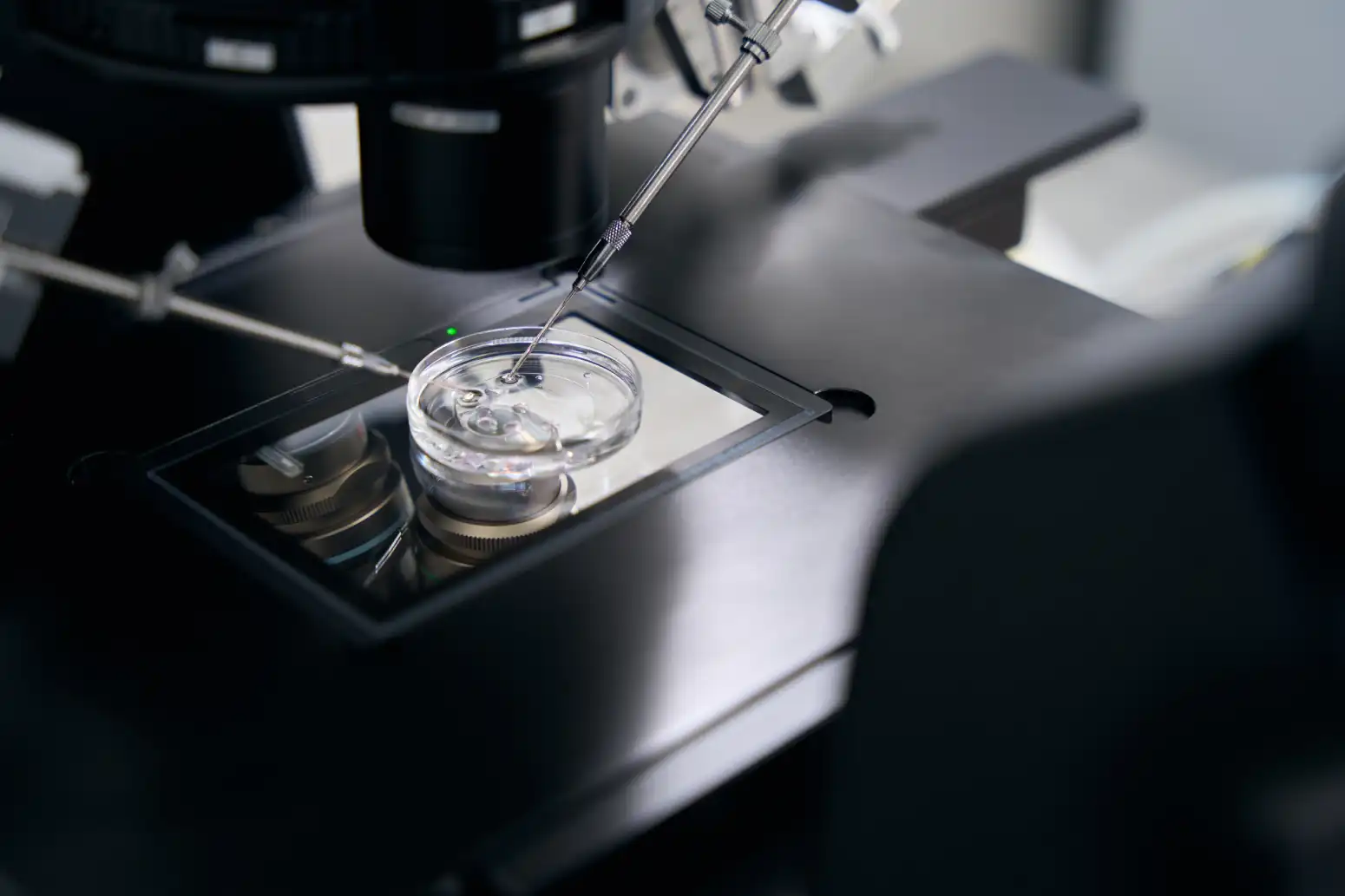 Vacuum Drying in Biotechnology